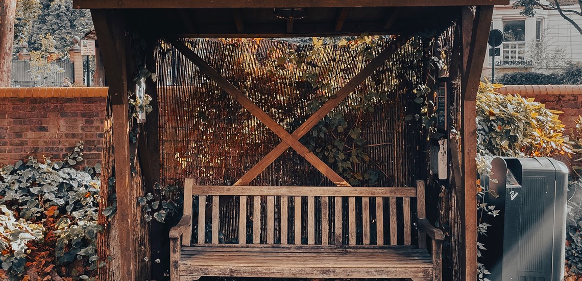 bench-autumn-leaves
